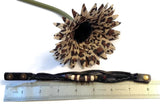 Leather Bronze AA Bracelet Snap Closure - Black
